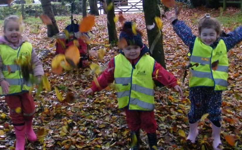 Fun at Forest School